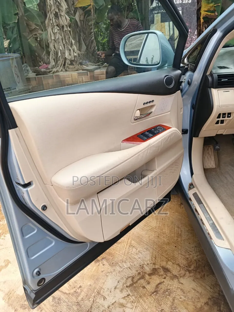 Lexus RX 2010 Silver
