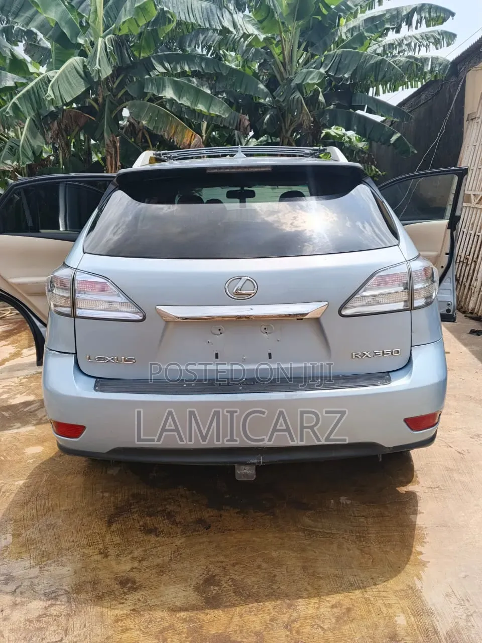 Lexus RX 2010 Silver