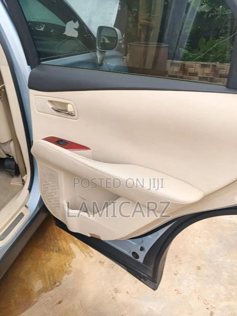 Lexus RX 2010 Silver