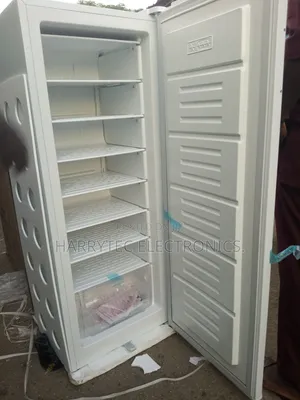 Aeon Standing Freezer 250 Litrs With 2 Years Warranty