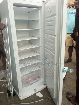 Aeon Standing Freezer 250 Litrs With 2 Years Warranty