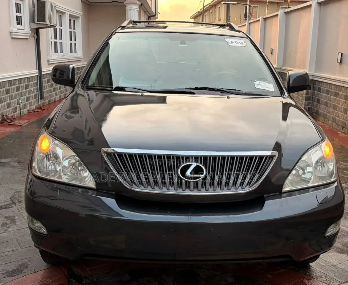 Lexus RX 2007 Gray