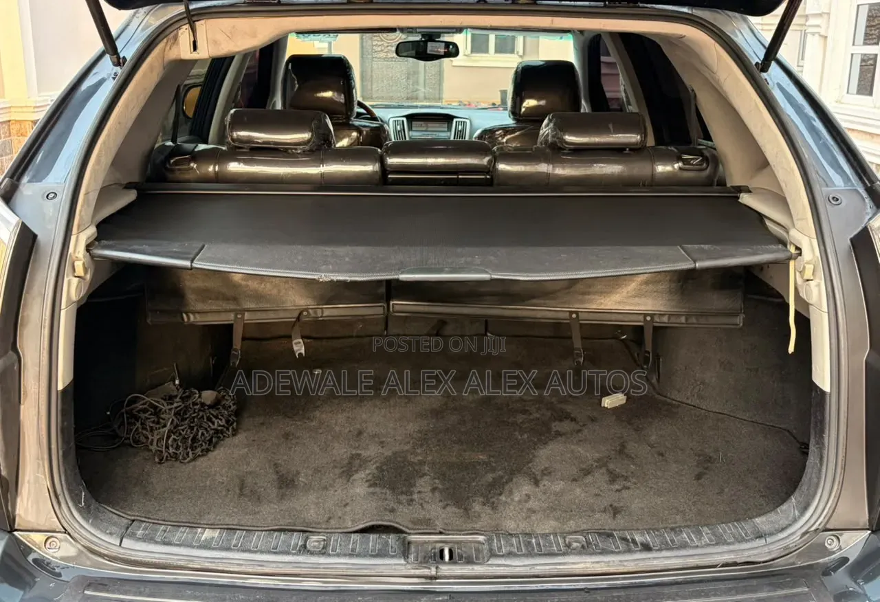 Lexus RX 2007 Gray