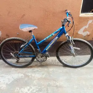 Adult Bicycle for Sale