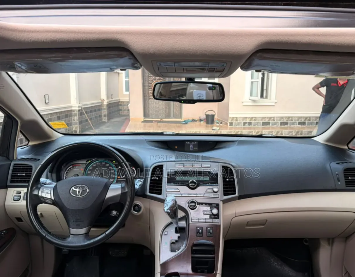 Toyota Venza 2010 Brown