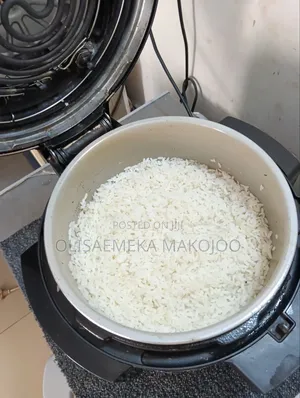 Multi Purpose Electric Pressure Cooker/Air Fryer/Steamer