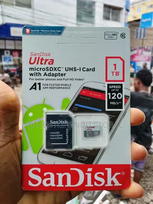 1TB Sandisk Memory Card