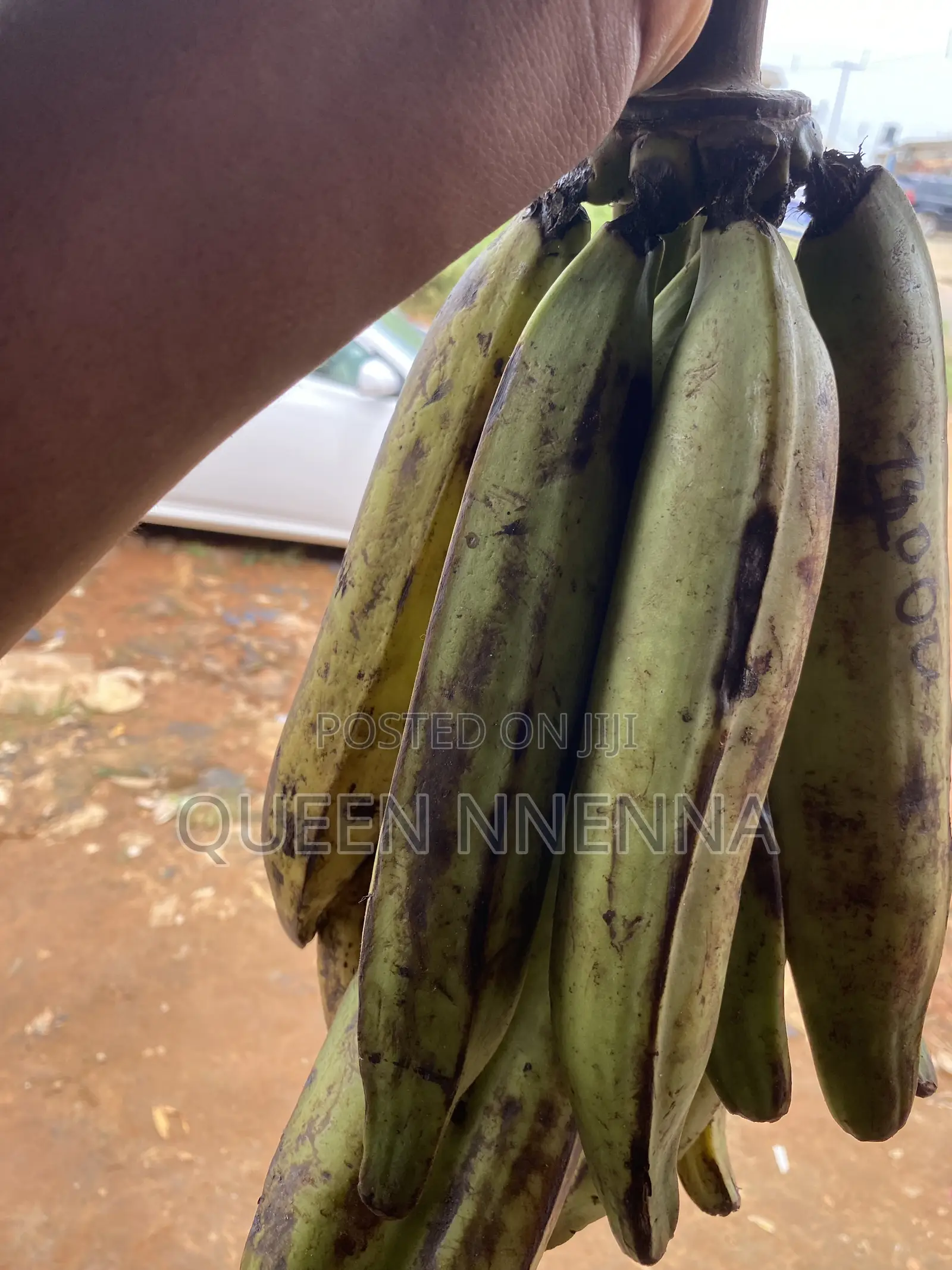 Fresh and Natural Plantain