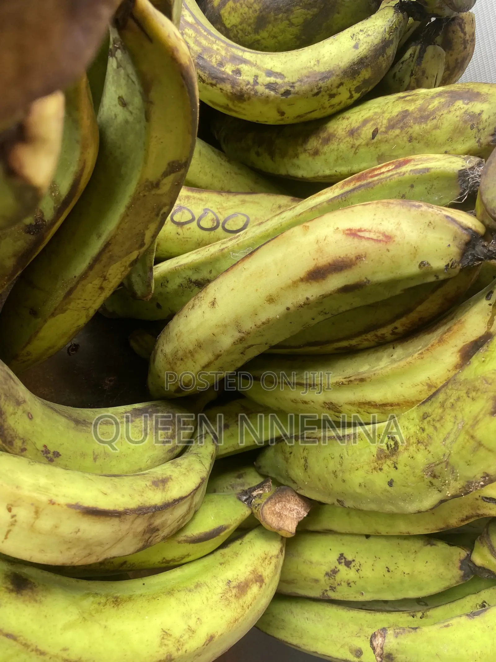 Fresh and Natural Plantain