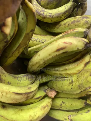 Fresh and Natural Plantain