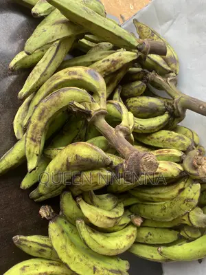 Fresh and Natural Plantain