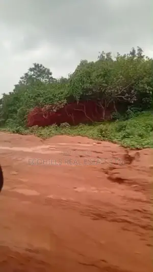 92 Hectares for Sale