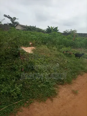 One Acre of Land for Sale