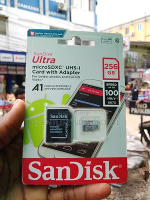 256GB Sandisk Micro Sd Card