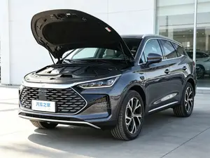 New BYD Tang EV 2025 Gray