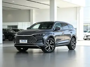 New BYD Tang EV 2025 Gray
