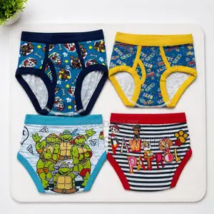 Boys Quality Dozen Panties