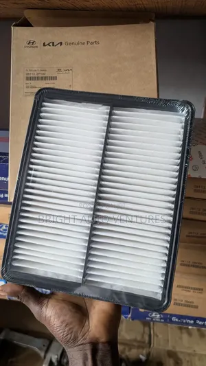 Air Filter Hyundai Sonata 2012