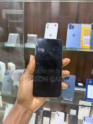 Apple iPhone 15 Pro Max 256 GB Silver