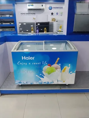 Ice Cream Freezer – SD-377D