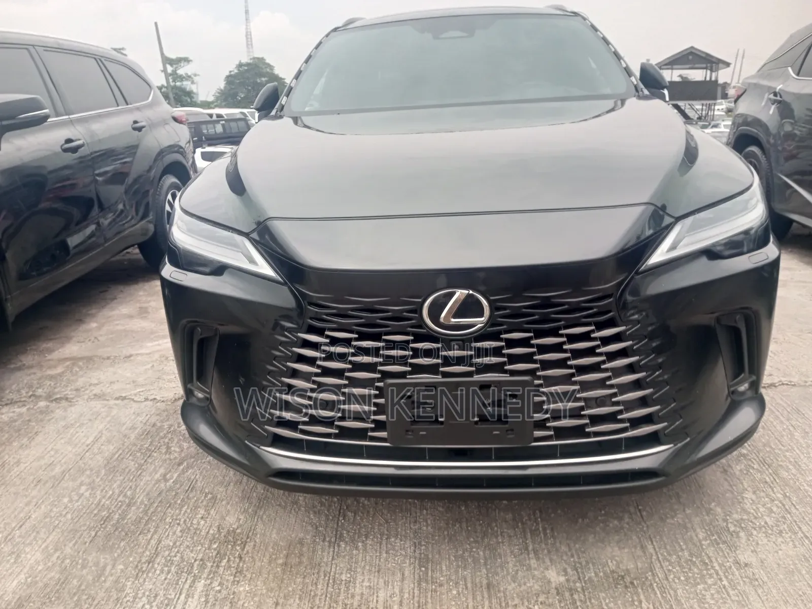 Lexus RX 2024 Gray