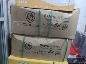 5kwh 24v Ecolion Solar Lithium Ion Battery