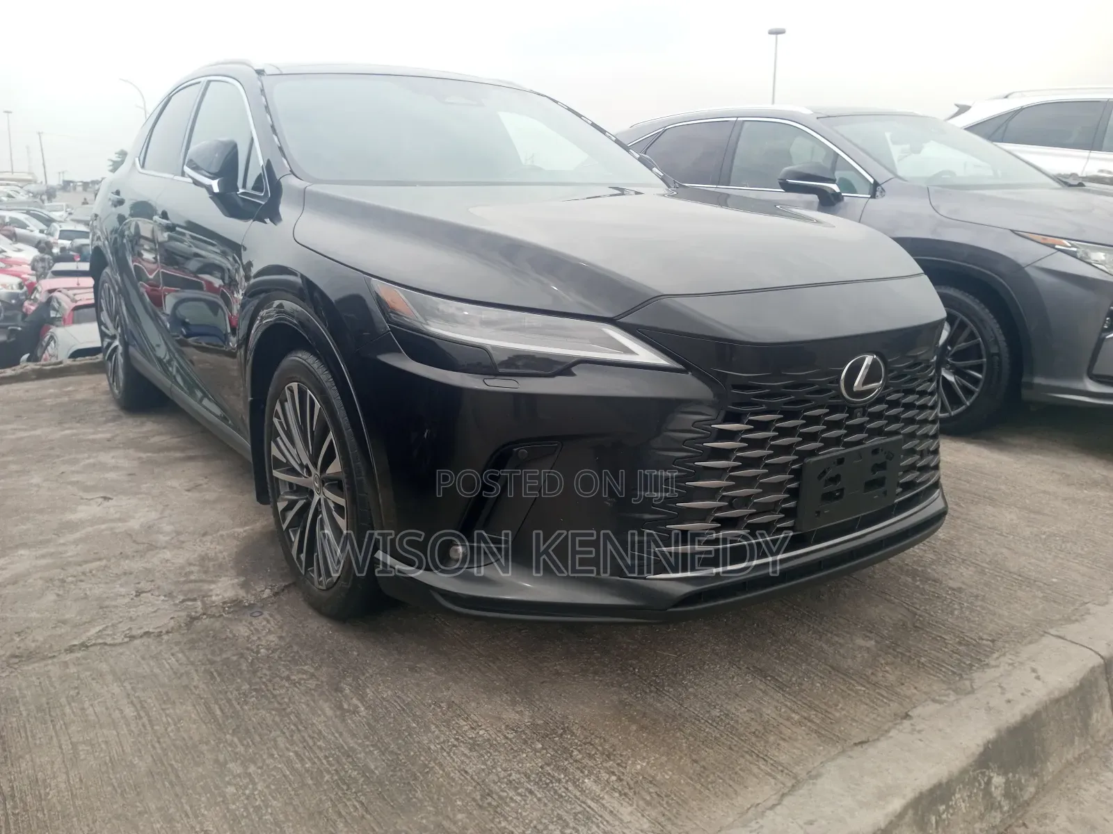 Lexus RX 2024 Gray