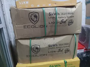 5kwh 24v Ecolion Solar Lithium Ion Battery