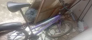 26 Inches Bicycle 