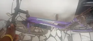 26 Inches Bicycle 