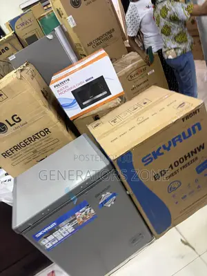 Skyrun BD-100HW Meat Storage Deep Freezer