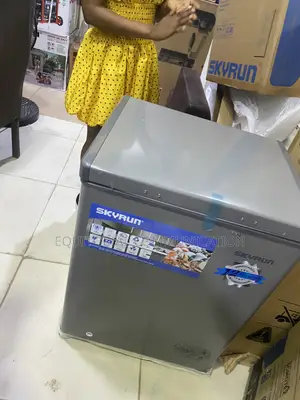 SKYRUN BD-100HNW 100L Freezer for Meat and Fish Storage