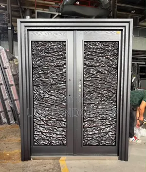 Modern Double Security Entrance Door
