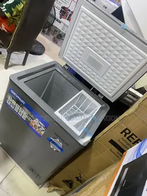 Skyrun BD-100HNW 100L Chest Freezer for Frozen Foods