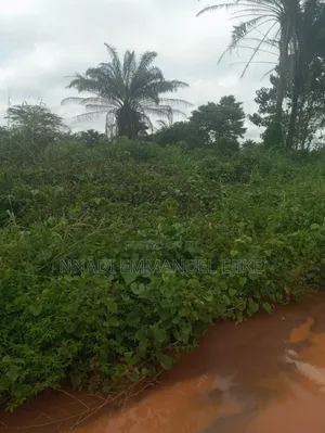 Land Sales