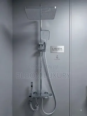 Series of Quality Rust Free Surface Showers