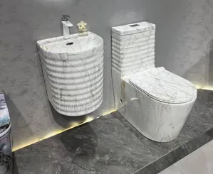 Luxury Extra Height Water Closet With Wash Hand Basine