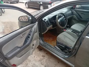 Hyundai Elantra 2009 Gray