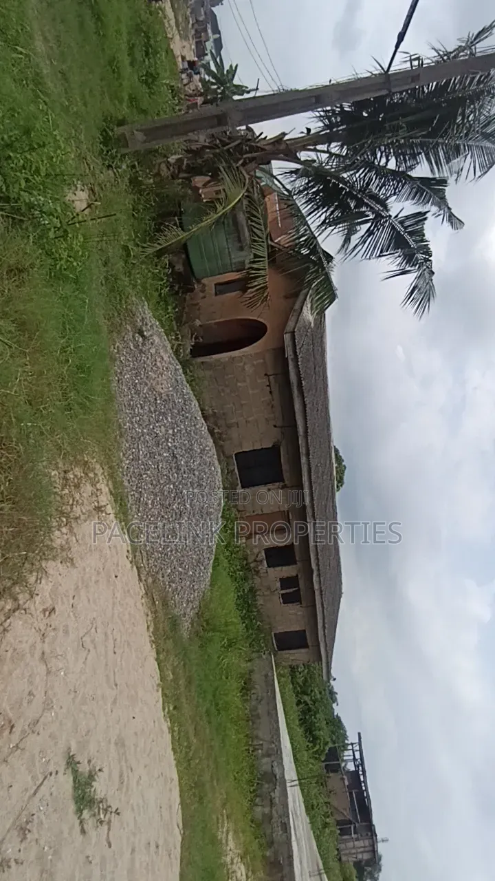 Half Plot of Land