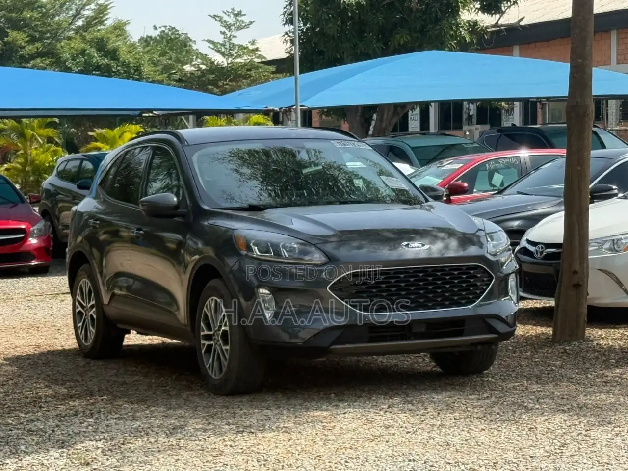 Ford Escape 2020 Gray