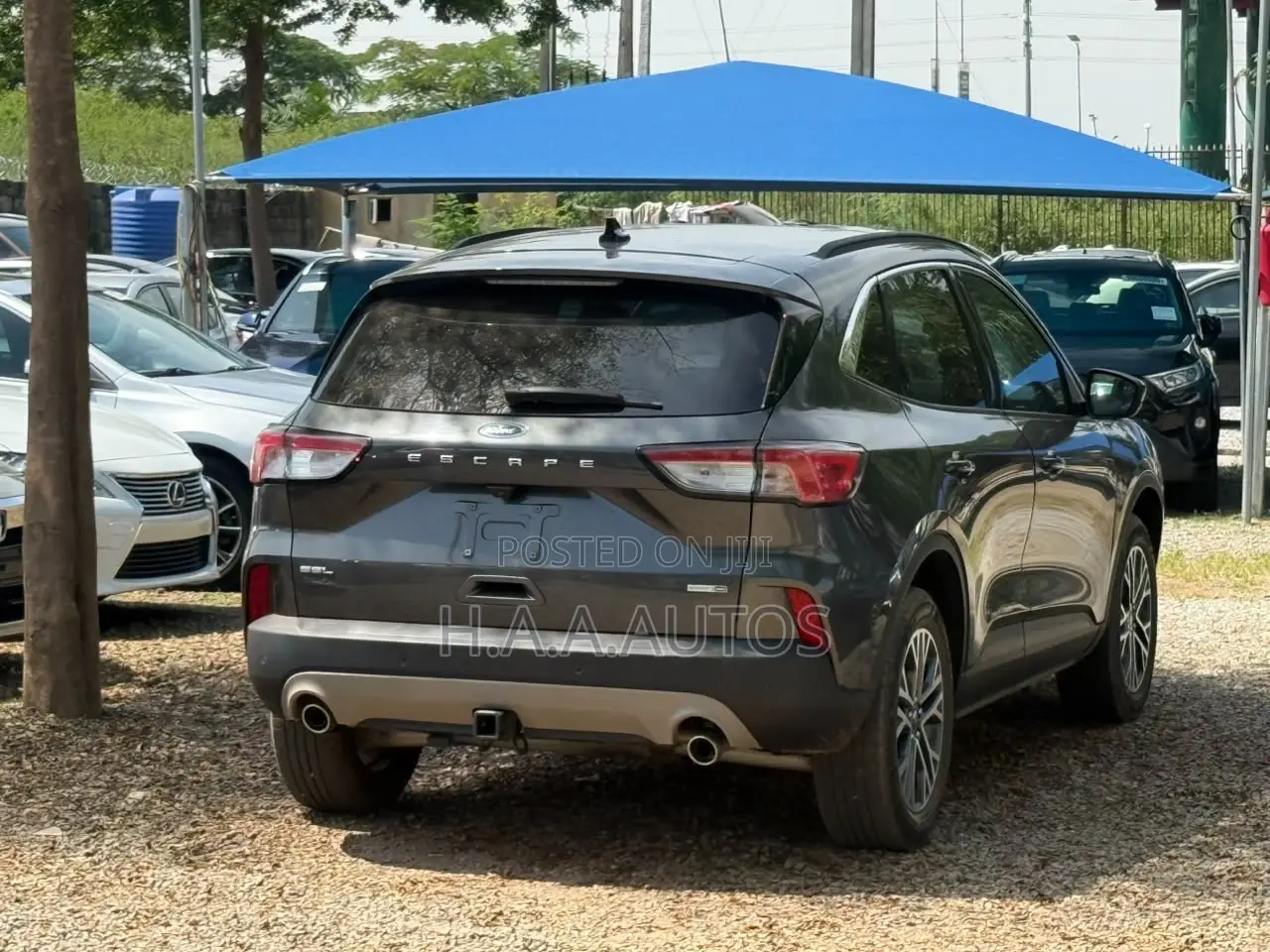Ford Escape 2020 Gray