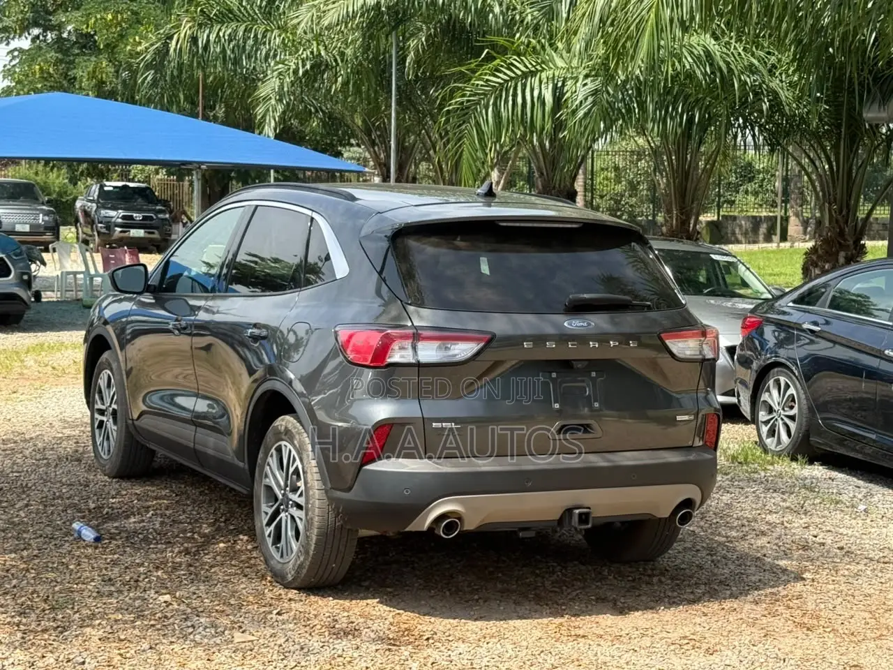 Ford Escape 2020 Gray