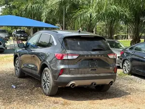 Ford Escape 2020 Gray