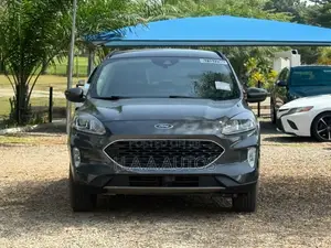 Ford Escape 2020 Gray