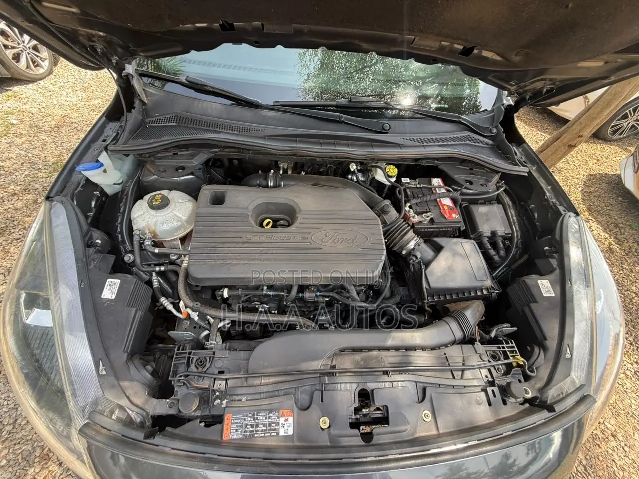 Ford Escape 2020 Gray