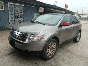 Ford Edge 2008 Gray