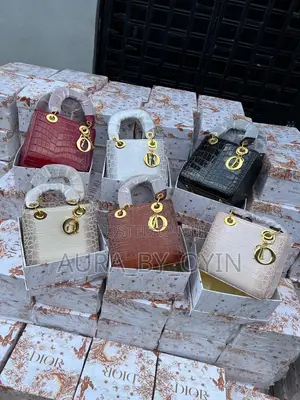 Dior Fashion Bag