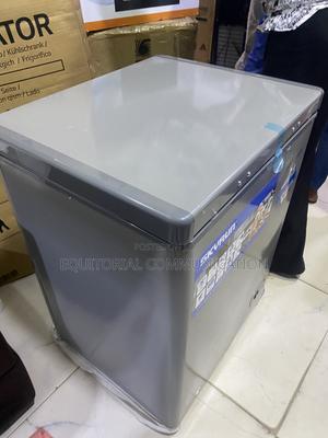 SKYRUN BD-100HNW 100L Chest Freezer for Fish Preservation