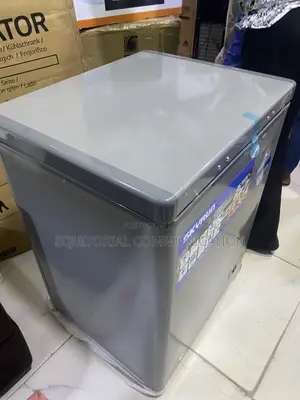 SKYRUN BD-100HNW 100L Chest Freezer for Fish Preservation