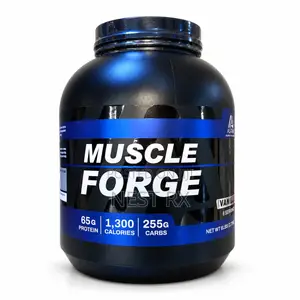 Astrastores Muscle Forge — Vanilla Mass Gainer